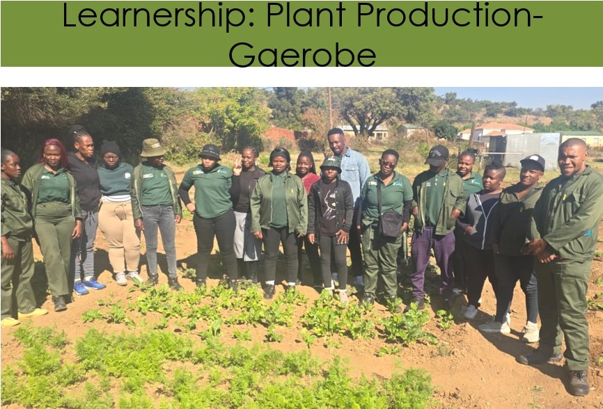 Learnership: Plant Production – Gaerobe