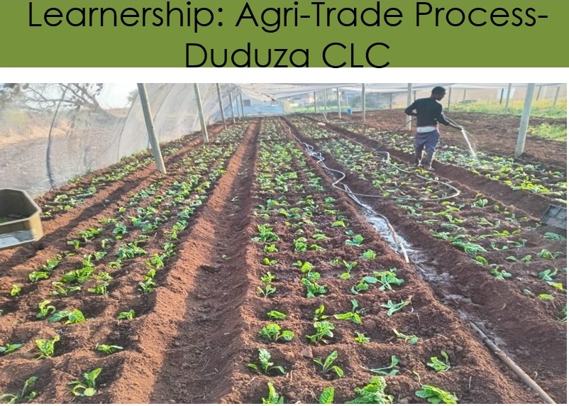Learnership: Agri-Trade Process – Duduza CLC